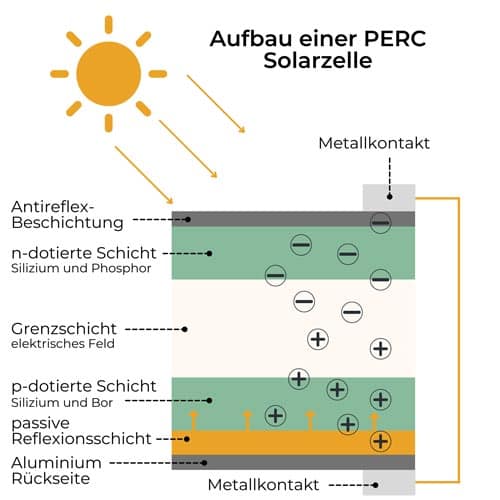 Aufbau-PERC-Solarzelle Aufbau einer PERC-Solarzelle