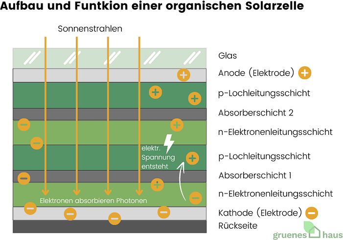 Aufbau und Funktion einer organischen Solarzelle Aufbau und Funktion einer organischen Solarzelle