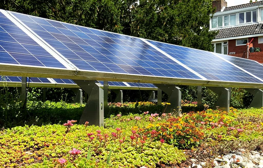 Photovoltaik im Garten aufstellen Kosten, Montage, Tipps